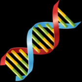 DNA strand